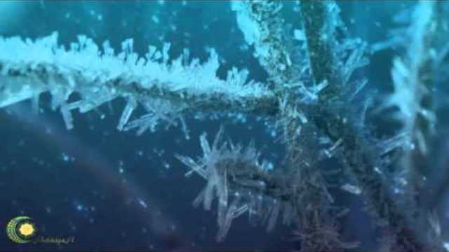 Дильназ Ахмадиева - Между Нами Зима