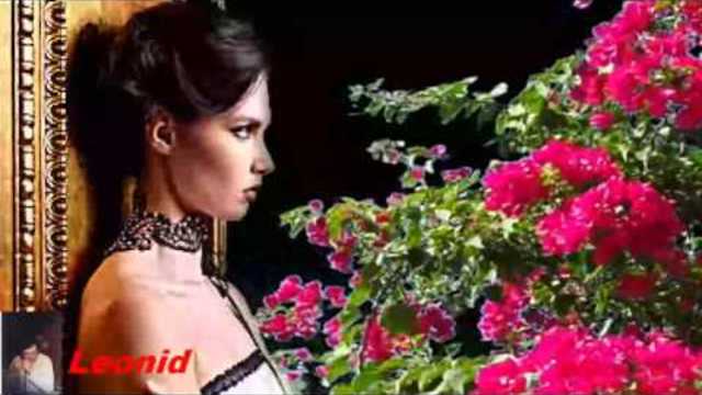 Андрей Шпехт Милая моя