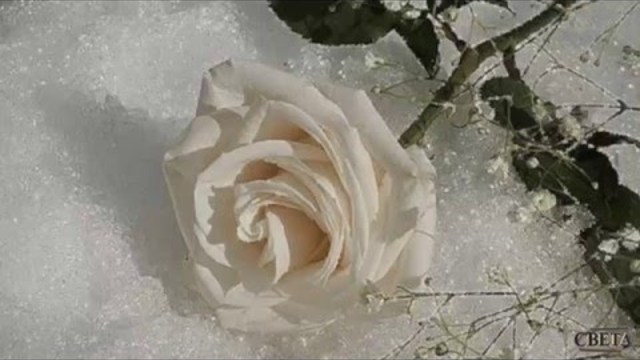 Евгений Дога -Зимний вальс... Монтаж Светлана Левина