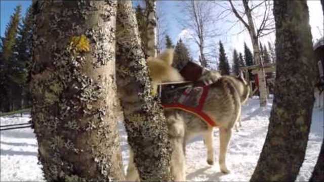 Юрий Визбор ☀ЗИМНЯЯ ПЕСНЯ☀