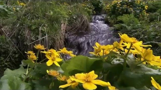 ОСТАНЬСЯ, МОЛОДОСТЬ!...