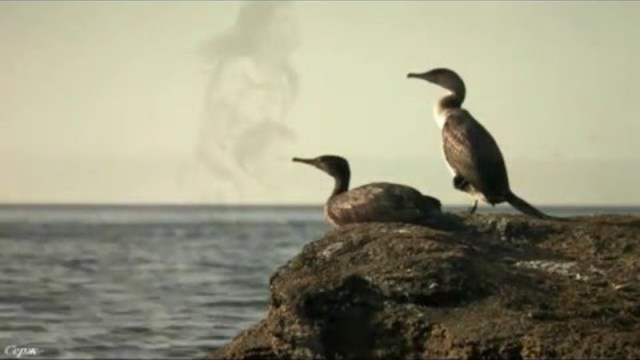 Андрей Картавцев - А лето цвета