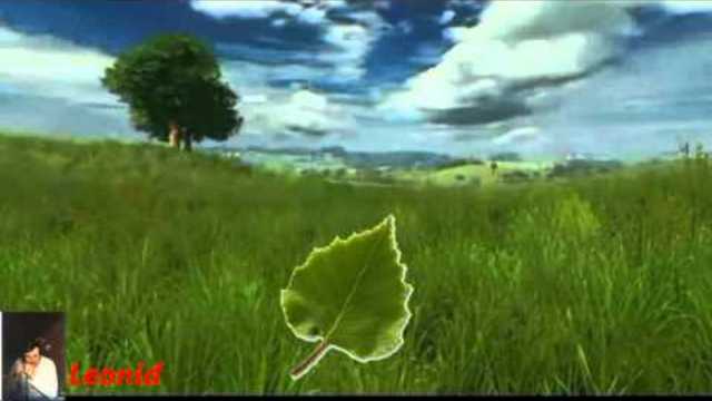 Юрий Прибылов  гр. Обратная сторона  Плакала береза