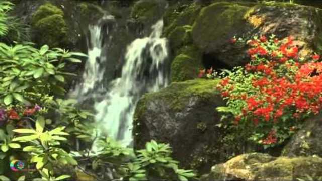 Музыка Для Души - Капли Любви