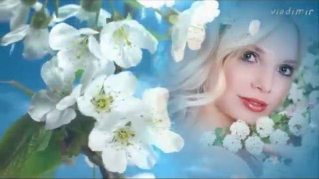 Ну почему так и не смог