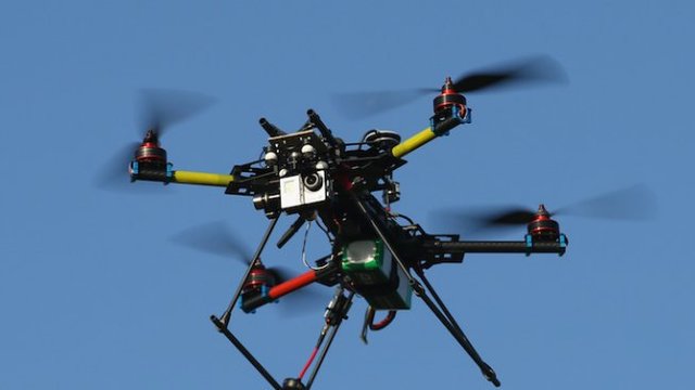 Орел срещу дрон! Полицията в Холандия обучава орли за лов на нелегални дронове