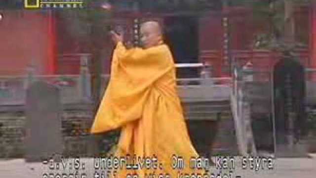Мистичната сила на Кунг-Фу / True Power of Shaolin Kung Fu