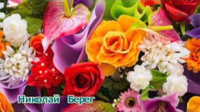 НИКОЛАЙ БЕРЕГ   -   ЗА  НАШИХ  ДАМ  !