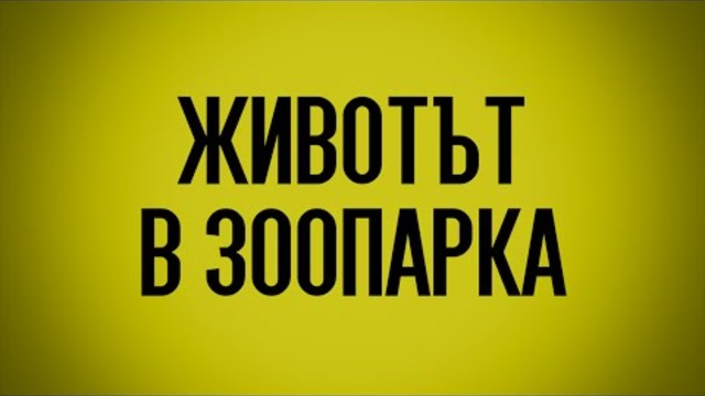 Животът в Зоопарка - български късометражен филм с Бг Аудио (2016) the a Life in the Zoo [HD]