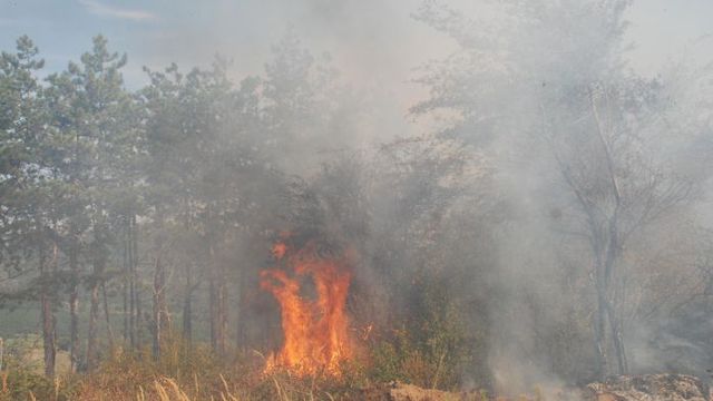 Втори ден гори пожар в Първомай - Огън в птицекланицата край Първомай