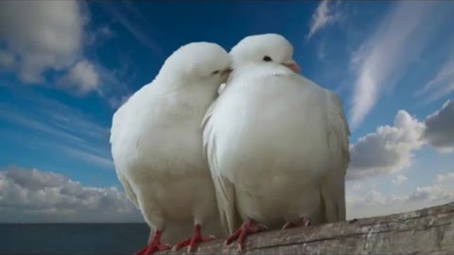 Валерий Сёмин  -  ОПУСТЕВШАЯ СИНЬ