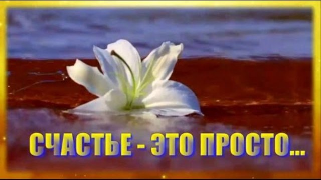 Счастье - это просто...