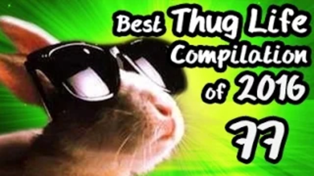 Best Thug Life Compilation of 2016 Part 77