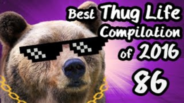 Best Thug Life Compilation of 2016 Part 86