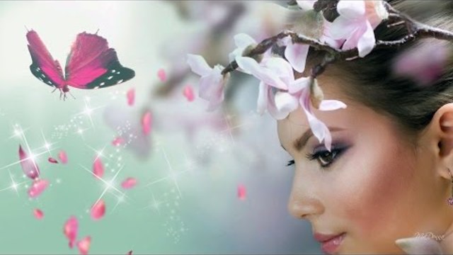 Улетай на крыльях ветра, лирическая мелодия