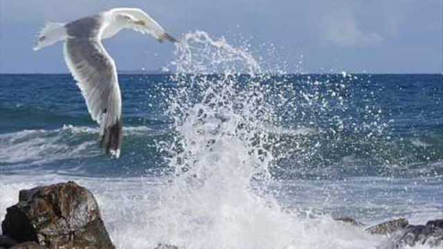 ИГОРЬ АШУРОВ   -   ВСЯ ЖИЗНЬ МОЯ