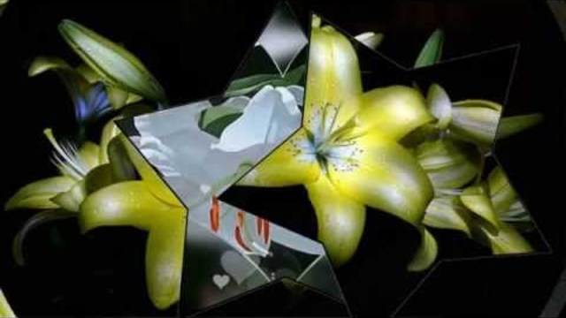 ЦВЕТЫ, МЕЛОДИЯ ДЛЯ ДУШИ!!!