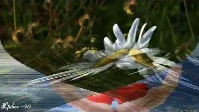 Владимир Кисткин  -  Душа