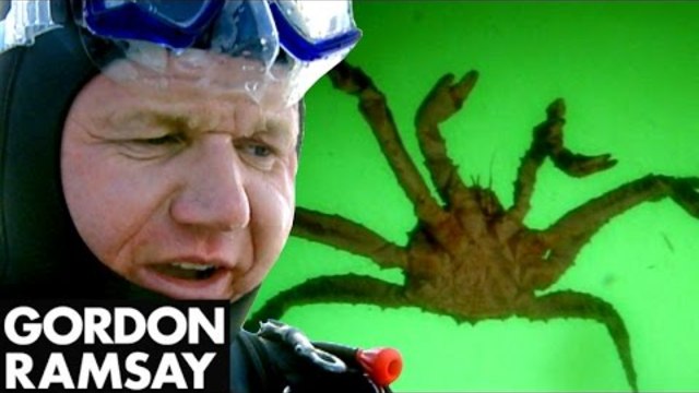 Catching and Cooking King Crab - Gordon Ramsay