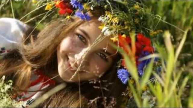 Валерий Палаускас  -  Полевые цветы