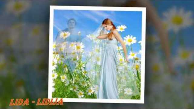 Алексей Плотников   -   Обидные Потери