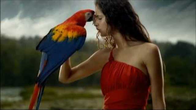 Валерий Палаускас  -  ПРИВОРОЖИЛА ПОДРУГА