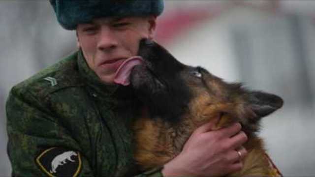 Валерий Сёмин  -  Четвероногий товарищ сапёр