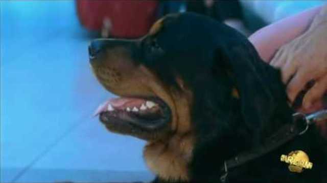 Чиж  -  Успокой меня глазами