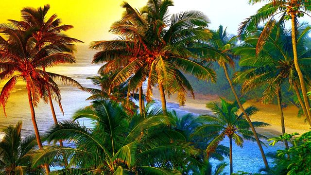 ~๑~Хавай - Рай в океана! ... ...~๑~