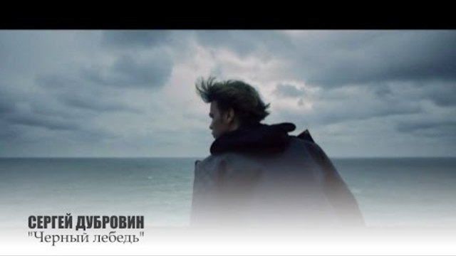 Сергей ДУБРОВИН - " Черный лебедь"