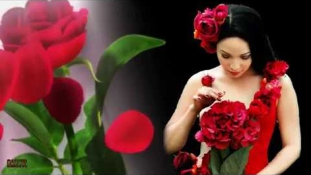 Андрей Рубежов - розы красные, розы белые