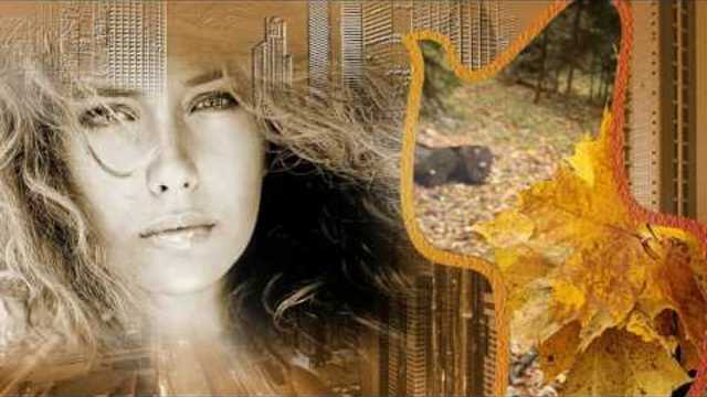 Осень в городе!