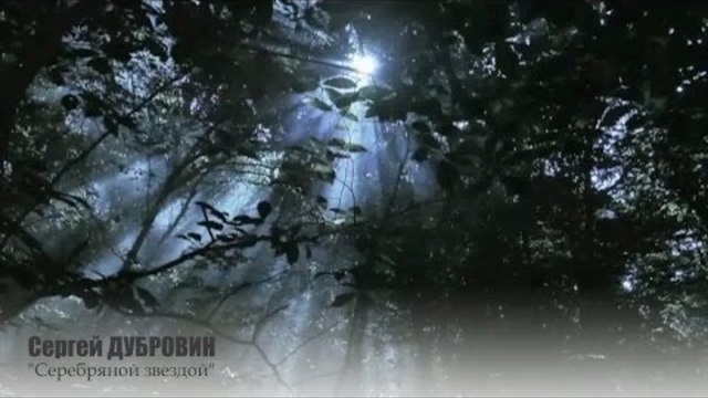 Сергей ДУБРОВИН   -   Серебряной звездой