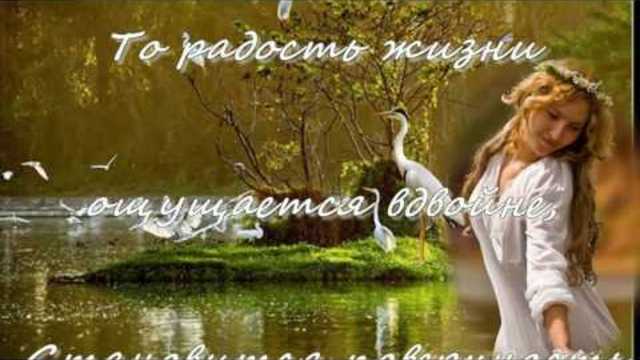 Романтический ролик - Наедине с природой