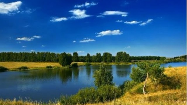 ВАСИЛЬ ДУНЕЦЬ   -   ІДУ КРІЗЬ ОСІНЬ