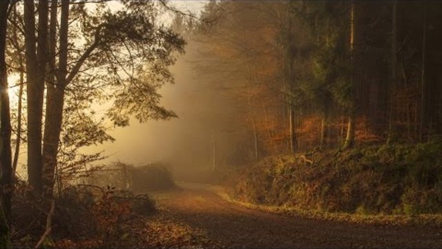 Расплескала краски осень