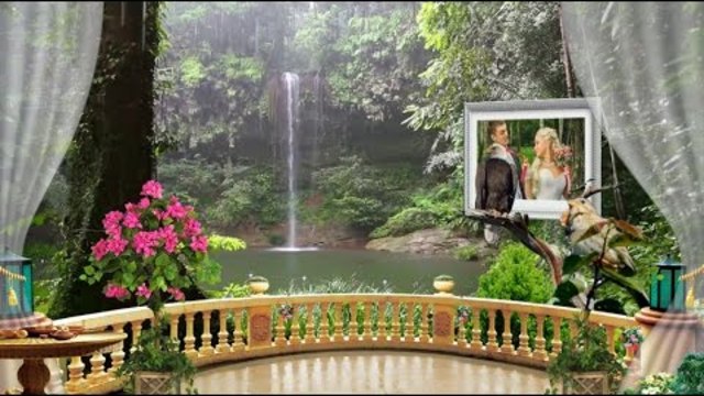 Бесплатный проект "Весенний лес" для Proshow Producer