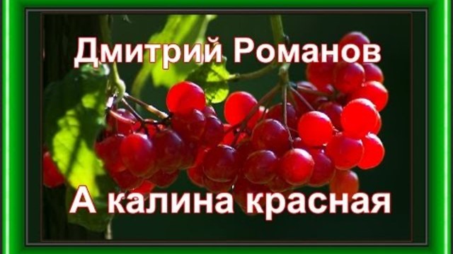 Дмитрий Романов - А калина красная