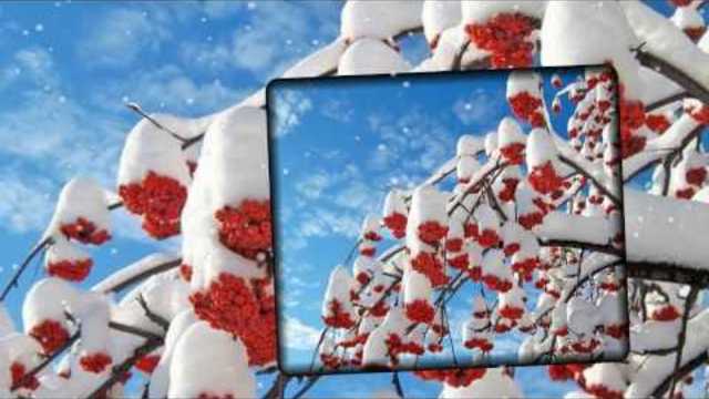 ОЛЕГ АЛЯБИН   -   РЯБИНА НА СНЕГУ