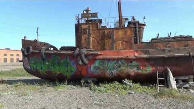 Александр Шапиро - Путь домой