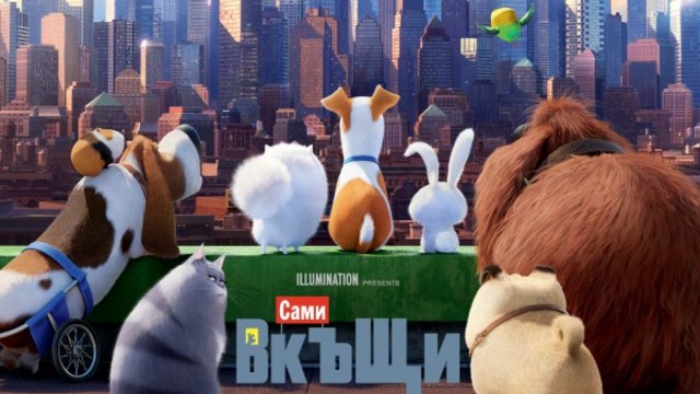 Сами в къщи