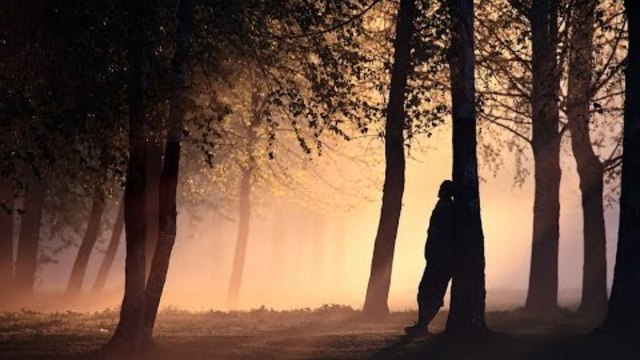 Александр Черный - Как жаль