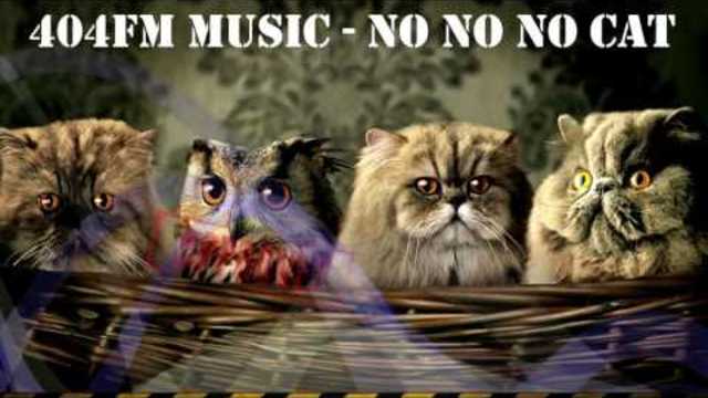 No No No Cat Song