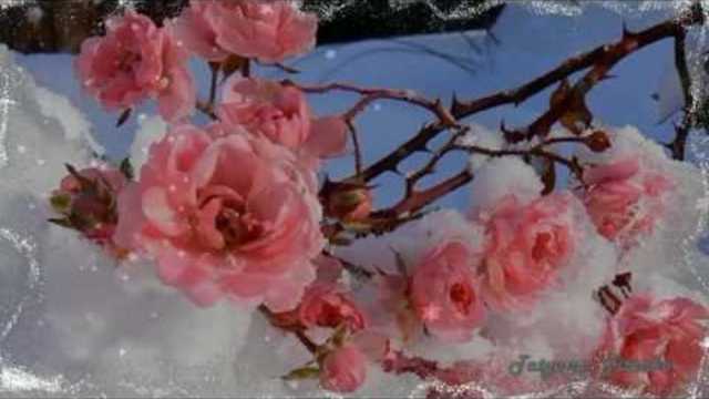 Игорь Воронцов   -   Тихо падает снег