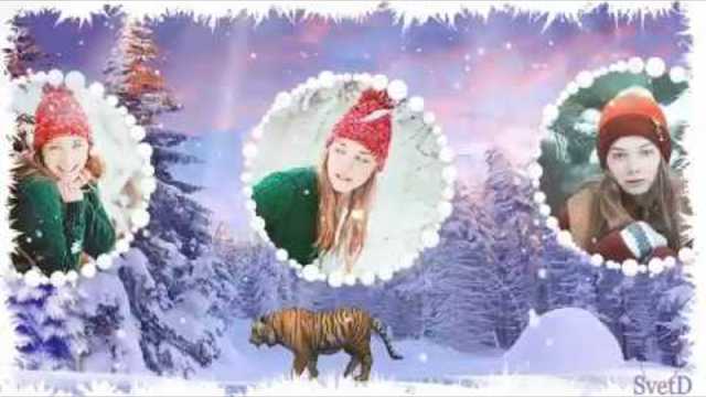 Зимняя неразбериха  3D