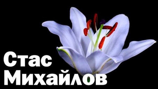 Стас Михайлов - Поделим небо