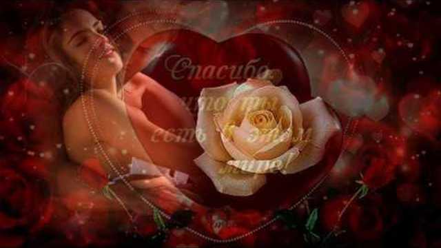 Волшебная мелодия любви !!!!! С Днем влюбленых !!!!