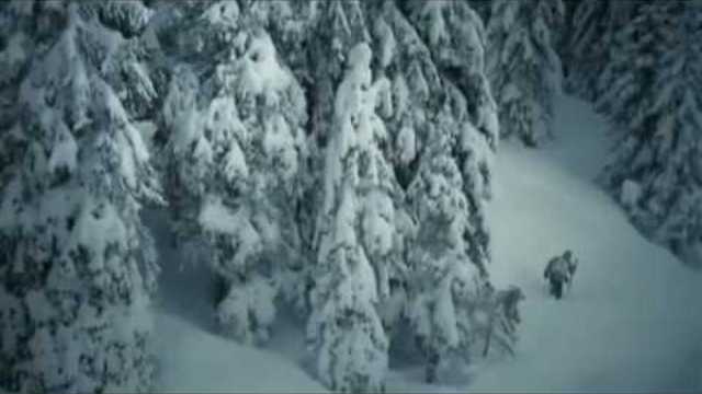 Ольга Плотникова - Падает снег