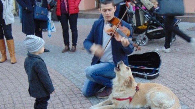 Пеещо куче стана атракция в центъра на Пловдив