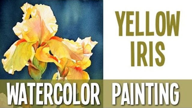 Watercolor Painting Demo - Yellow Iris